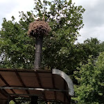 Photo n°5 de l'avis de Horst. fait le 05/07/2023 à 22:41 sur le  Prickings-Hof Restaurant à Haltern am See