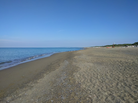 Spiaggia di Marina di Castagneto