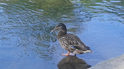 State Government Office «Wilmington State Parks», reviews and photos, 1021 W 18th St, Wilmington, DE 19802, USA