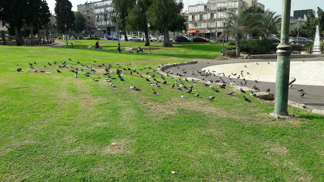 עיריית ראשון לציון - אחר