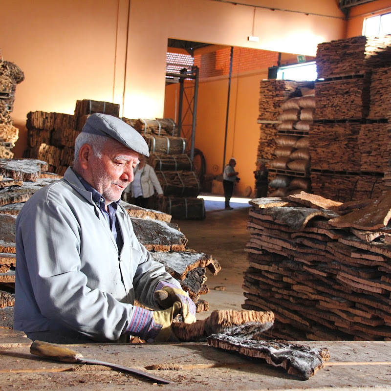 Eco-Cork Factory | Eco-Fábrica de Cortiça | Francisco Carrusca