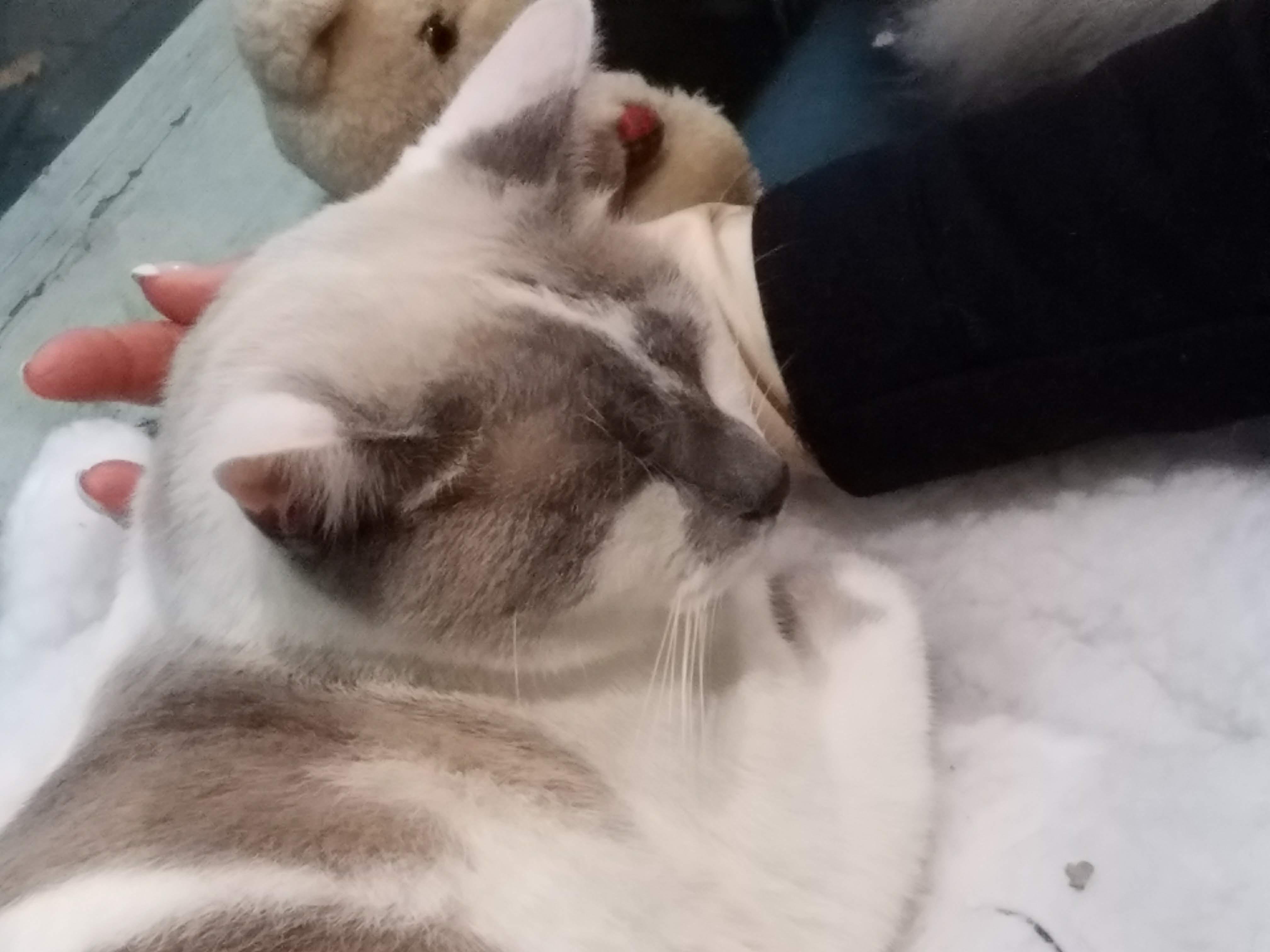 Photo n° 4 de l'avis de Olivier.a fait le 10/11/2018 à 23:00