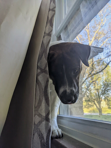 Pet Supply Store «Petsense Crossville», reviews and photos, 68 The Crossings, Crossville, TN 38555, USA