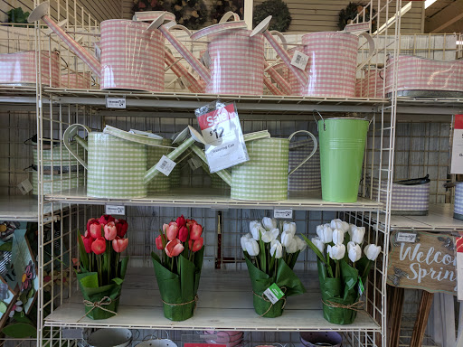 Craft Store «Michaels», reviews and photos, 1638 13th Ave E Ste 1, West Fargo, ND 58078, USA