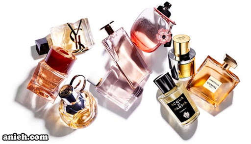 البرنس للعطور