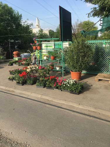 Értékelések erről a helyről: Platán Plusz Kertészeti Áruda, Budapest - Kertészkedő