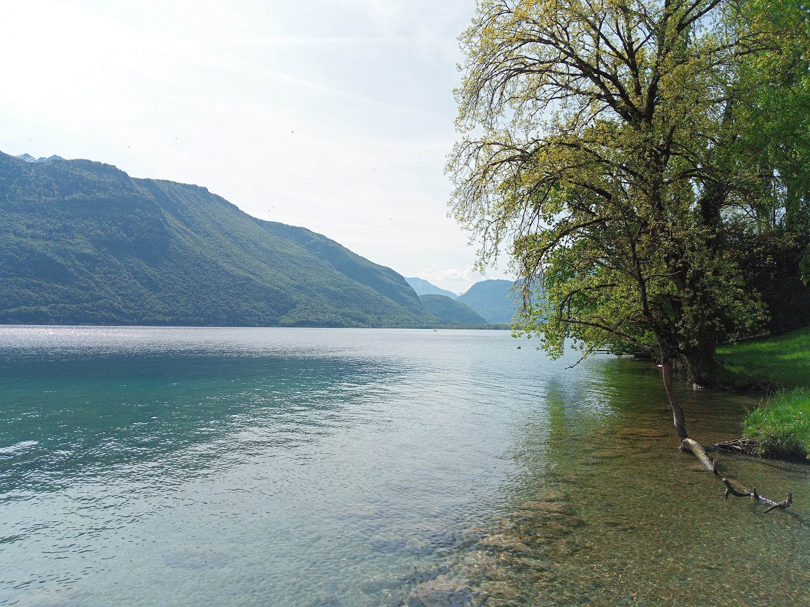 Grassy Knoll By Lake Beach'in fotoğrafı uçurumlarla desteklenmiş