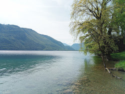 Grassy Knoll By Lake Beach'in fotoğrafı uçurumlarla desteklenmiş