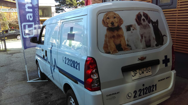 Opinii despre IHL Publicidad în Puerto Montt - Agencia de publicidad