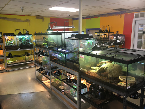 Pet Store «Tye-Dyed Iguana - Reptiles», reviews and photos, 1905 W U.S. 50, Fairview Heights, IL 62208, USA