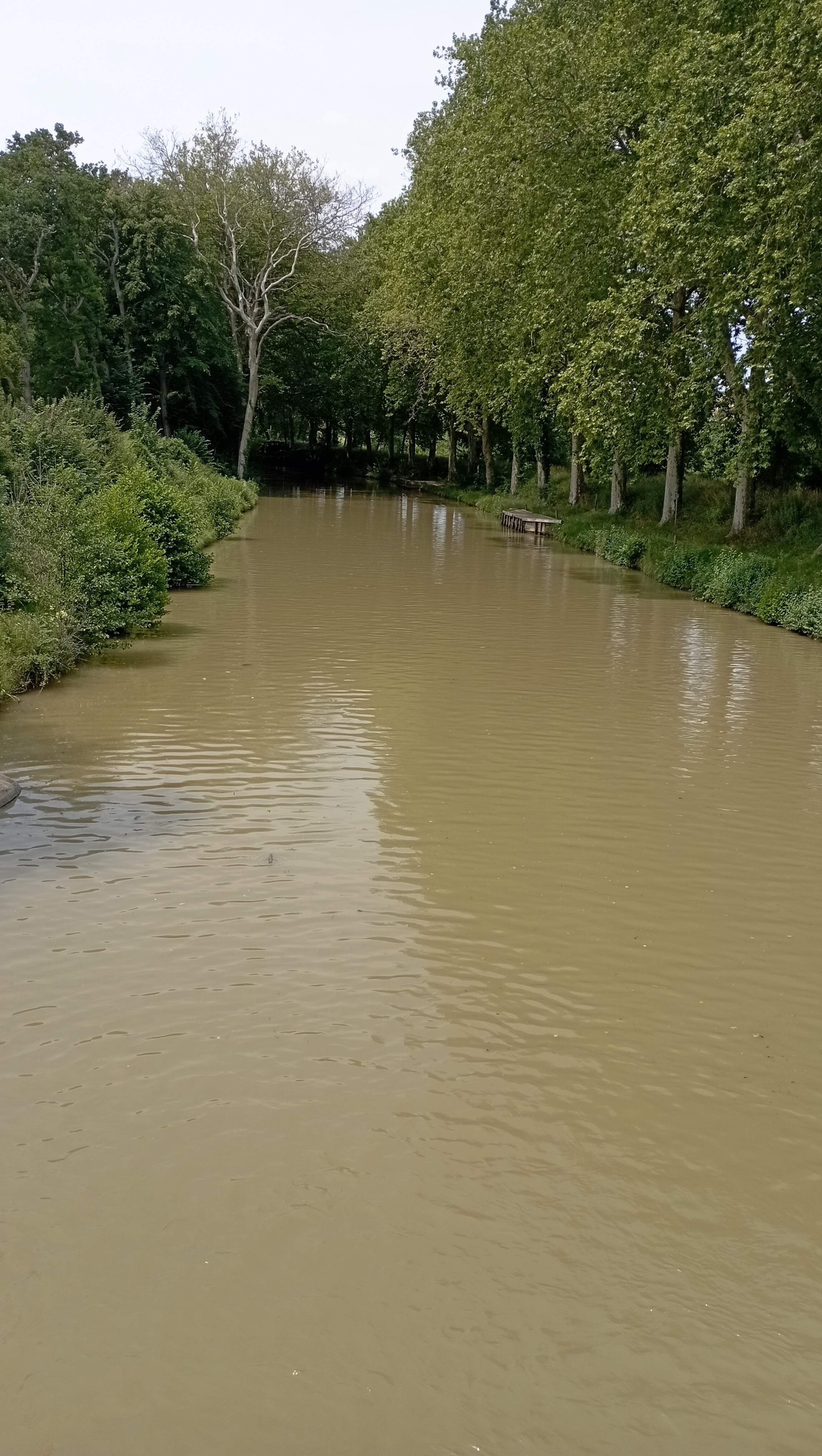 Photo n° 4 de l'avis de Monique.a fait le 02/07/2023 à 17:06