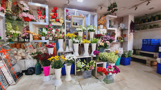 Cheap flower stores Jaipur