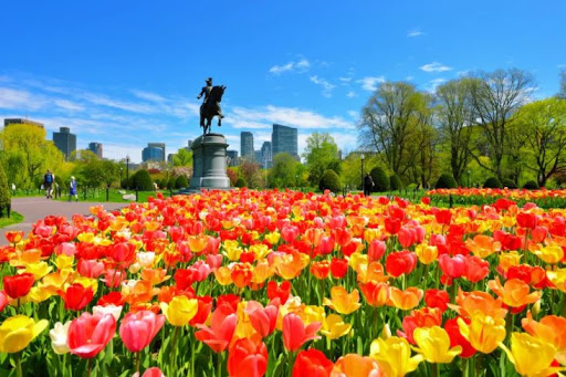 Liquor Store «Bauer Wine & Spirits», reviews and photos, 330 Newbury St, Boston, MA 02115, USA