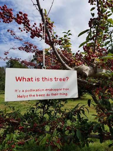 Orchard «Riamede Farm», reviews and photos, 122 Oakdale Rd, Chester, NJ 07930, USA