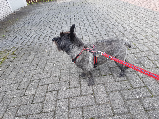 Veterinary practice Bettina Poelk unter Dinslaken, 