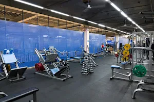 Fitness club «Pro-Sport image