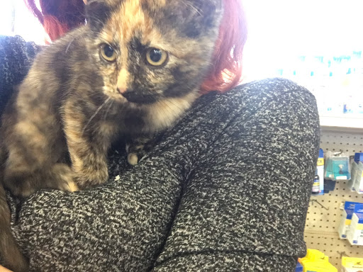 Pet Store «Feed Rite Pet Shop & Supply», reviews and photos, 11760 Belleville Rd, Belleville, MI 48111, USA