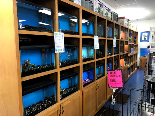 Pet Store «Pet Nation Llc», reviews and photos, 1898 Andorra St, Navarre, FL 32566, USA