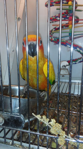 Pet Supply Store «Pet Supplies Plus», reviews and photos, 1240 Seminole Trail, Charlottesville, VA 22901, USA