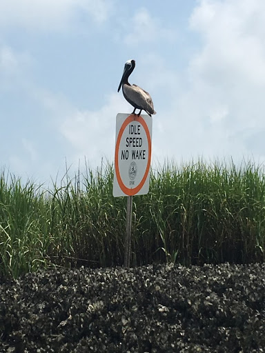 Outdoor Sports Store «Outside Brands», reviews and photos, The Plaza at Shelter Cove Shopping Center, Hilton Head Island, SC 29928, USA