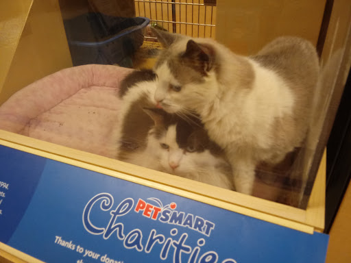 Pet Supply Store «PetSmart», reviews and photos, 1232 Hooper Ave, Toms River, NJ 08753, USA