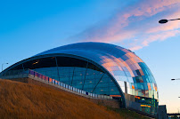 Liz Ordoñez Photography - Photo 9 - Car repair in , Fort Lauderdale