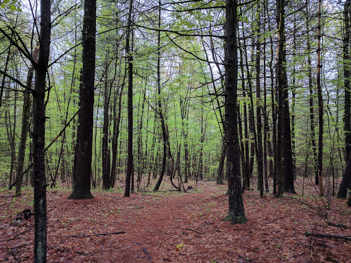 Park «Roby Park», reviews and photos, Spit Brook Rd, Nashua, NH 03062, USA