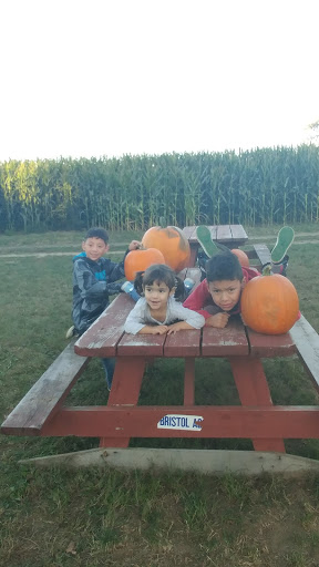 Farm «Four Town Farm», reviews and photos, 90 George St, Seekonk, MA 02771, USA