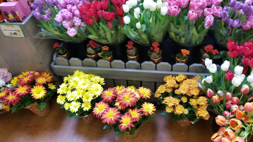 Shopping Mall «Southland Four Seasons Shopping Center», reviews and photos, 600 Clairton Blvd, Pittsburgh, PA 15236, USA