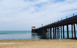 Foto di Plyaj Dachnikov area servizi