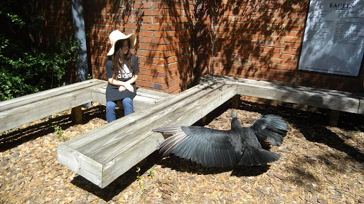 Zoo «Audubon Center for Birds of Prey», reviews and photos, 1101 Audubon Way, Maitland, FL 32751, USA