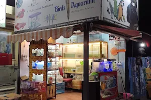 T birds (pet shop and aquarium) image