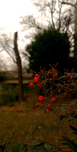 Home Improvement Store «Surplus Warehouse», reviews and photos, 10717 Harry Hines Blvd, Dallas, TX 75220, USA