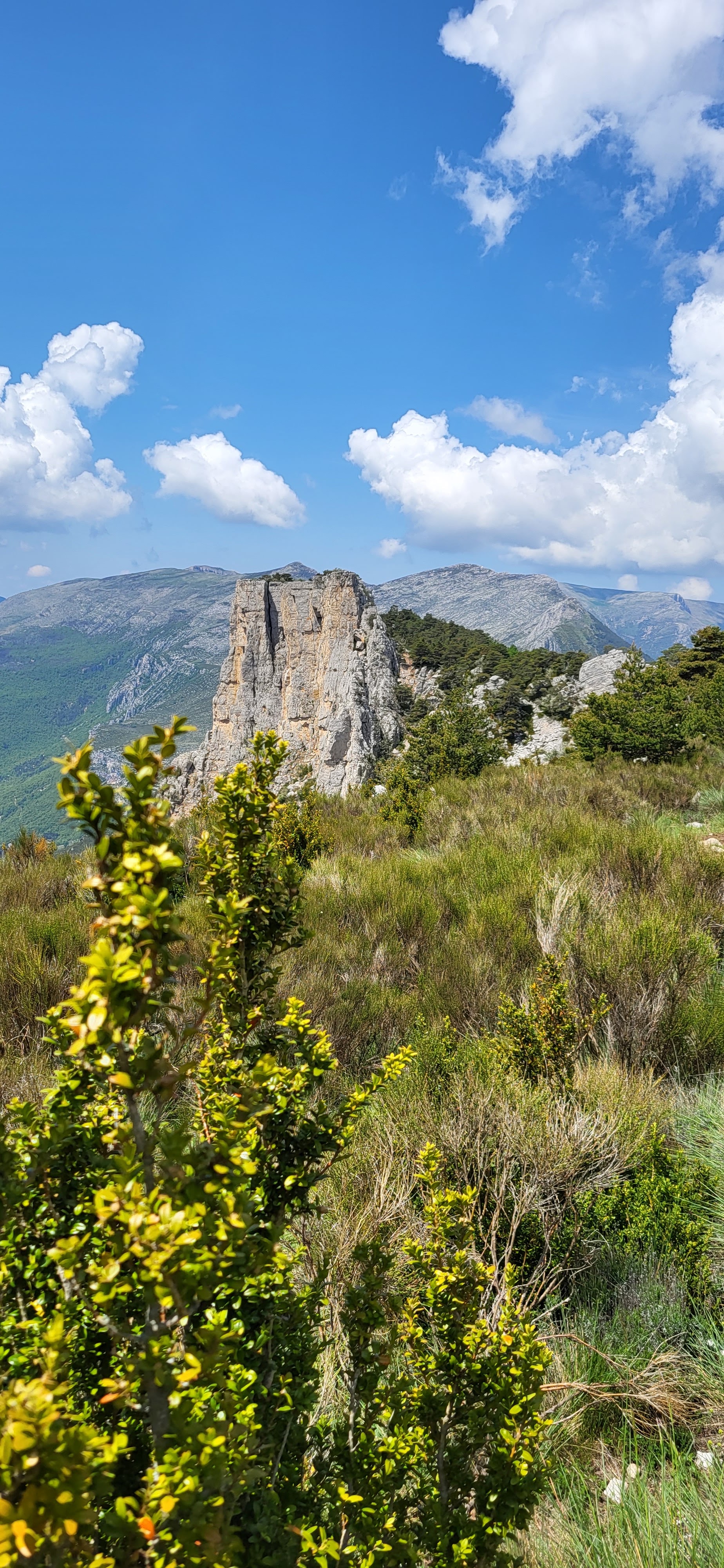 Photo n° 4 de l'avis de Franck.e fait le 25/05/2023 à 15:17