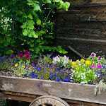 Photo n°4 de l'avis de Enrico.r fait le 01/05/2024 à 16:40 sur le  Bologna Tartufunghi à Vergato