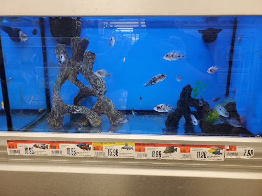 Pet Supply Store «Pet Supplies Plus», reviews and photos, 887 N Lexington-Springmill Rd, Mansfield, OH 44906, USA