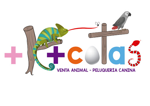 Más que Mascotas - Torredelcampo