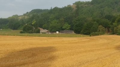 communication cheval à Montaigu-de-Quercy