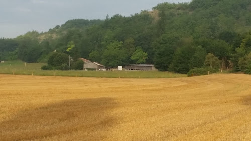 communication cheval à Montaigu-de-Quercy