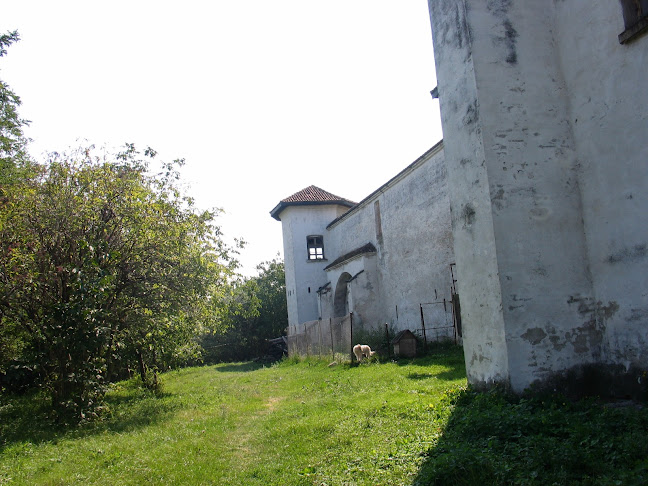 Muzeul Mănăstirii Comana