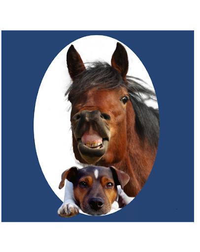 Tierarztpraxis Donnadieu - Osteopathie für Pferde und Hunde unter Schöngeising, Bayern