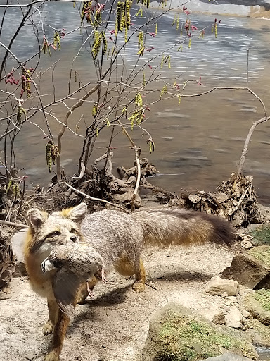 History Museum «The State Museum of Pennsylvania», reviews and photos, 300 North St, Harrisburg, PA 17120, USA