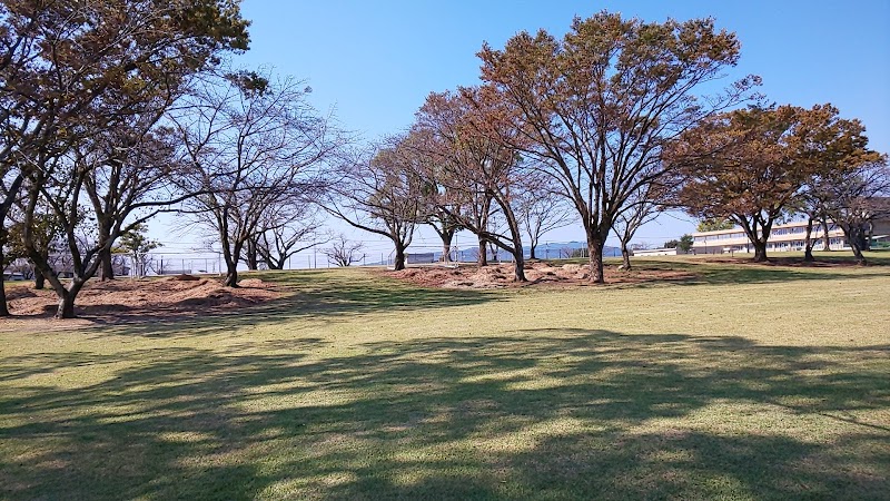 熊本県博物館ネットワークセンター多目的広場(御野立運動公園)