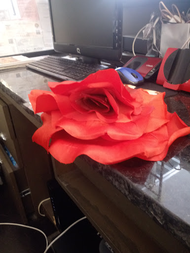 Beauty Salon «Ana Molinari Salon Spa Boutique», reviews and photos, 52 S Palm Ave, Sarasota, FL 34236, USA