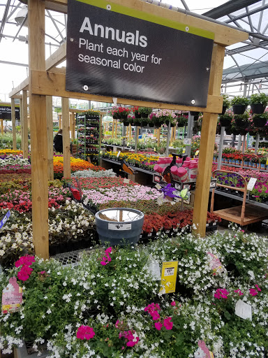 Home Improvement Store «The Home Depot», reviews and photos, 2551 S Interstate Hwy 35, Round Rock, TX 78664, USA