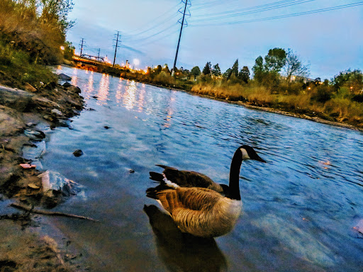 Park «Commons Park», reviews and photos, 2101 15th St, Denver, CO 80202, USA