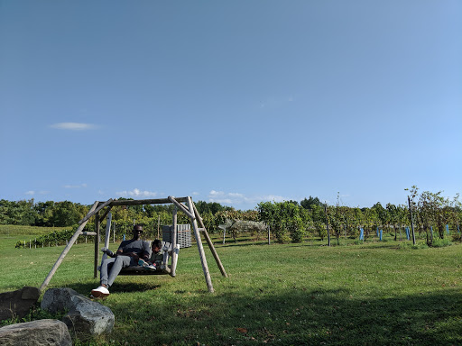 Winery «Clermont Vineyards & Winery», reviews and photos, 241 County Rte 6, Germantown, NY 12526, USA