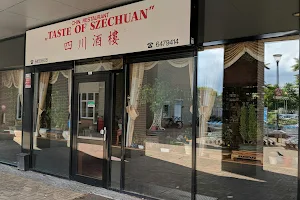A Taste of Szechuan image
