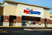 PetSmart - Photo 2 - Car repair in Geneva, IL, Naperville