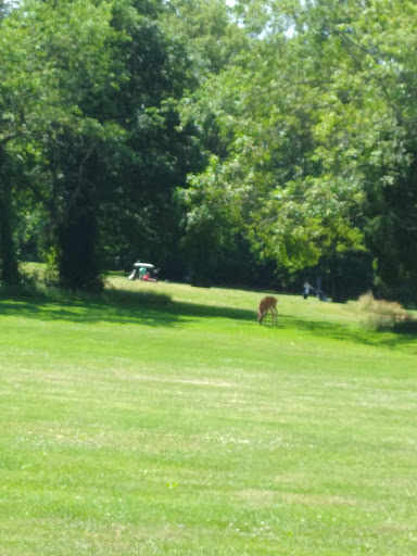 Golf Course «Christopher Morley Park Golf», reviews and photos, 500 Searingtown Rd, Roslyn, NY 11576, USA